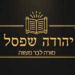 מורה פרטי יהודה שפסל