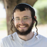 מורה פרטי בניה מישלוב