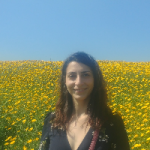 מורה פרטית לורן  חננשוילי 