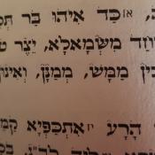 מורה פרטי יצחק שלמה