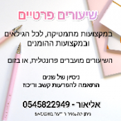 מורה פרטית אליאור טויזר