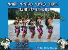 מורה פרטי פרופיל לדוגמא מורה פרטי פרופיל לדוגמא