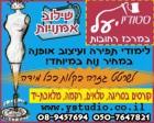 מורה פרטי פרופיל  לדוגמא