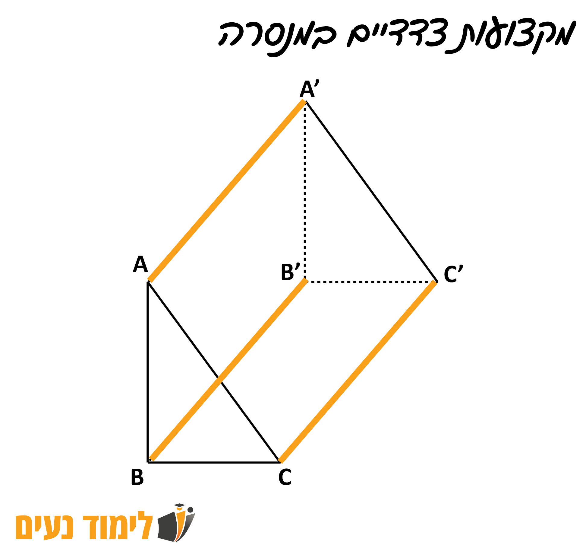 מקצועות צדדיים במנסרה