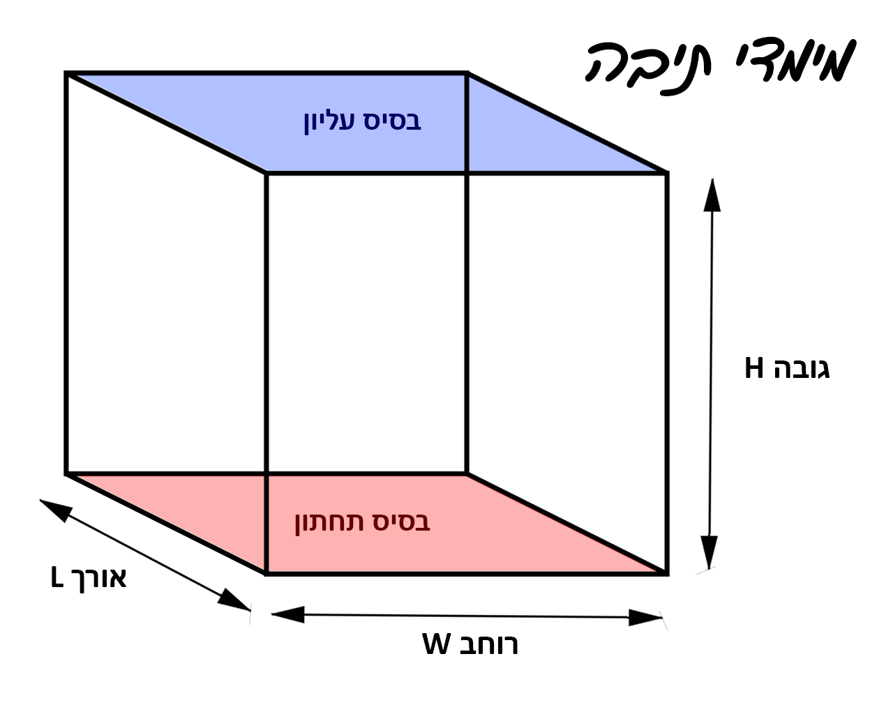 תיבה - מימדי תיבה