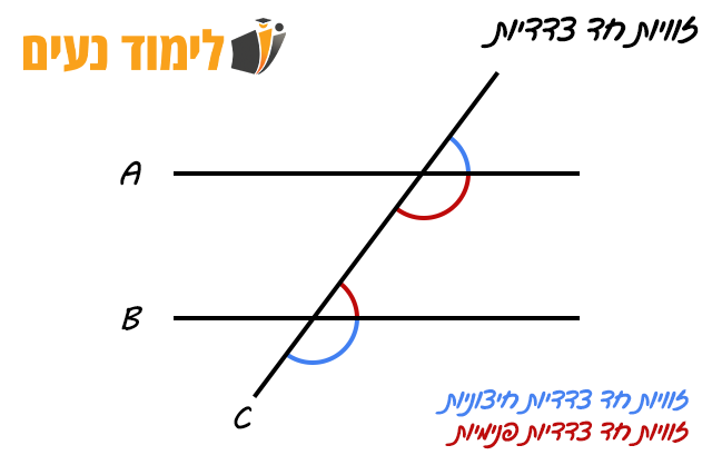זוויות חד צדדיות